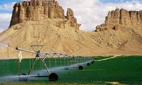 Système d'irrigation