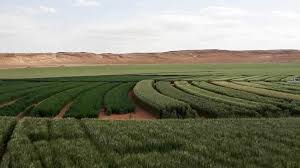 Plantations