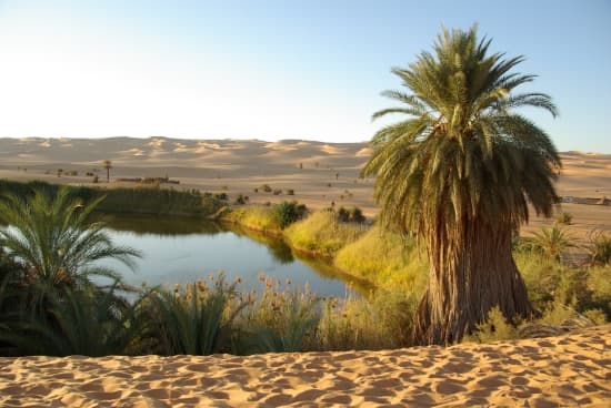 Nos Oasis Naturelles